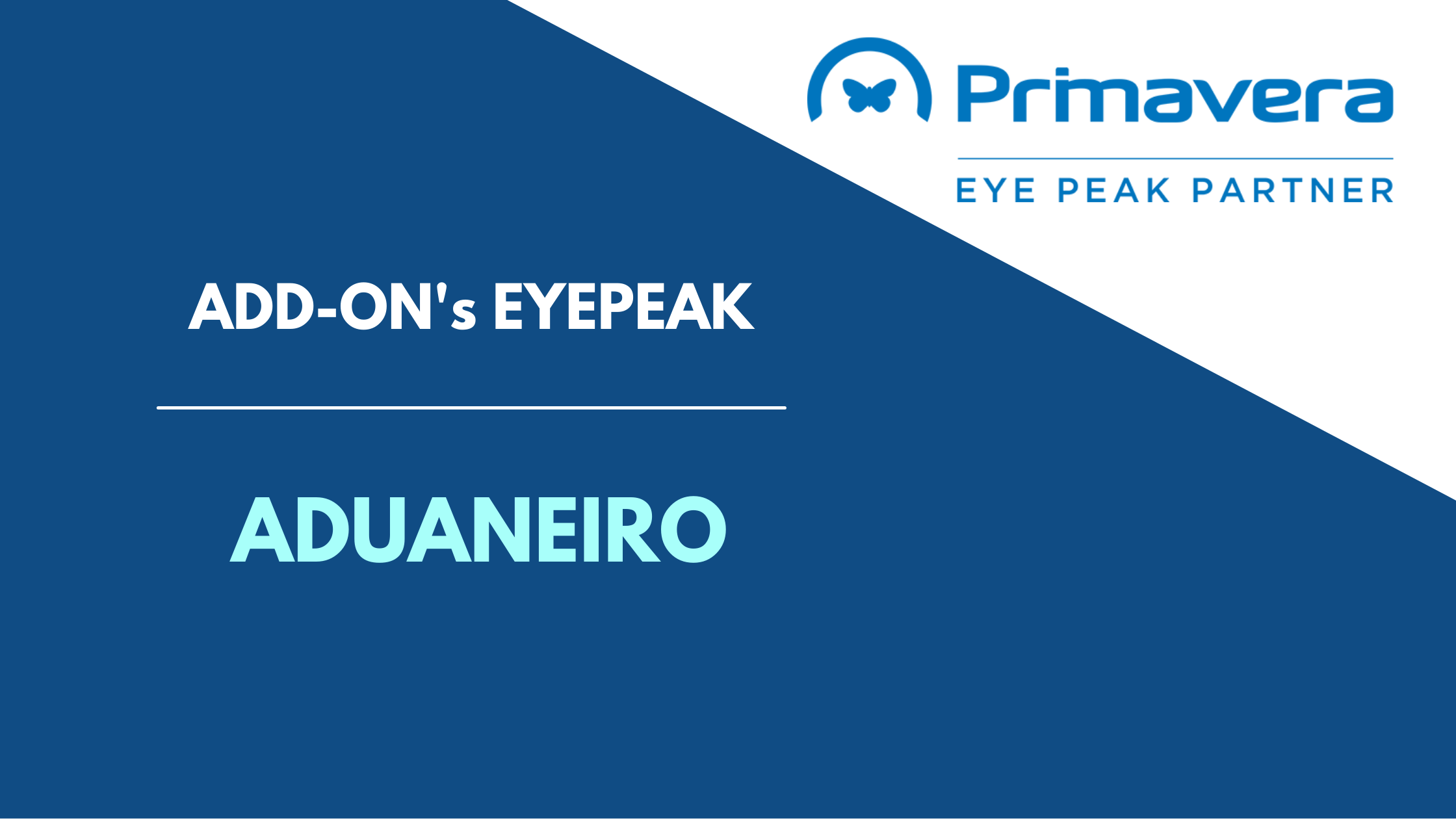 You are currently viewing Eyepeak – AddOn Aduaneiro